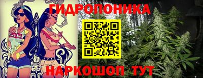гашишное масло Камышлов