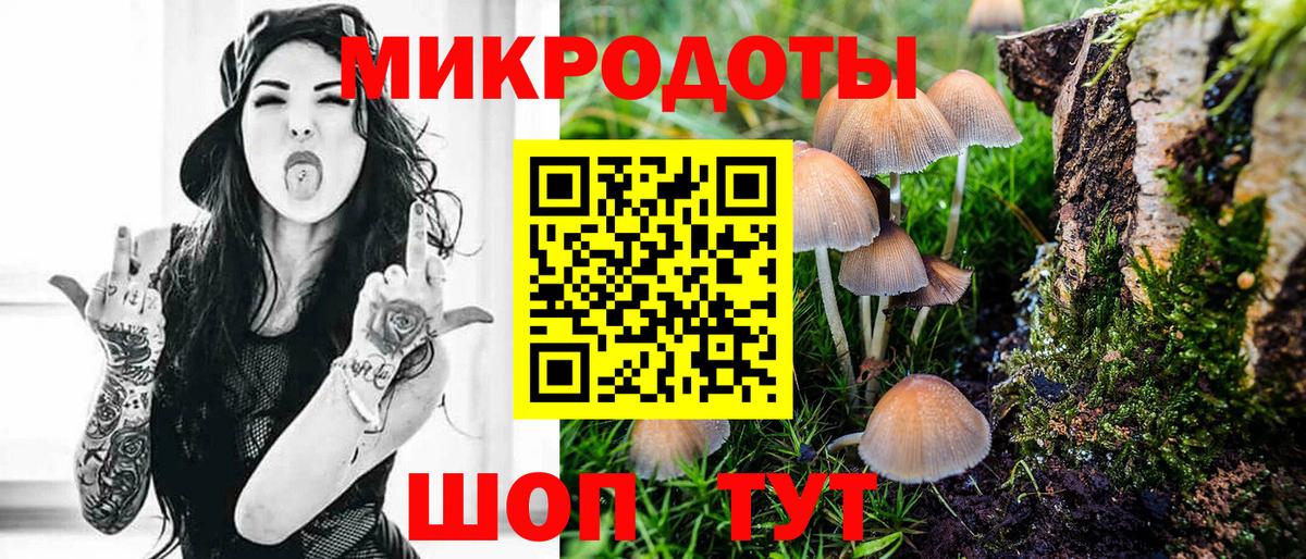 Галлюциногенные грибы прущие грибы Костомукша