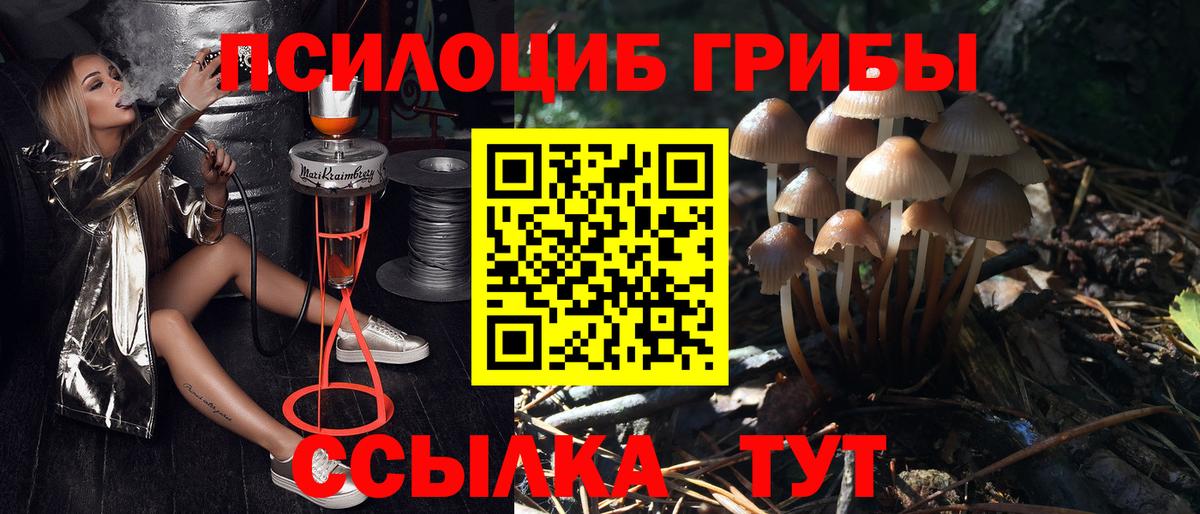Псилоцибиновые грибы мухоморы  Галлюциногенные грибы Psilocybine cubensis  Костомукша  Вход с VPN 